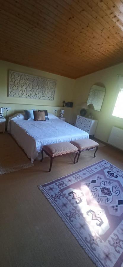 Villa Vivienda El Olivo Con Piscina Privada Y Jardin. Ayegui Exterior foto